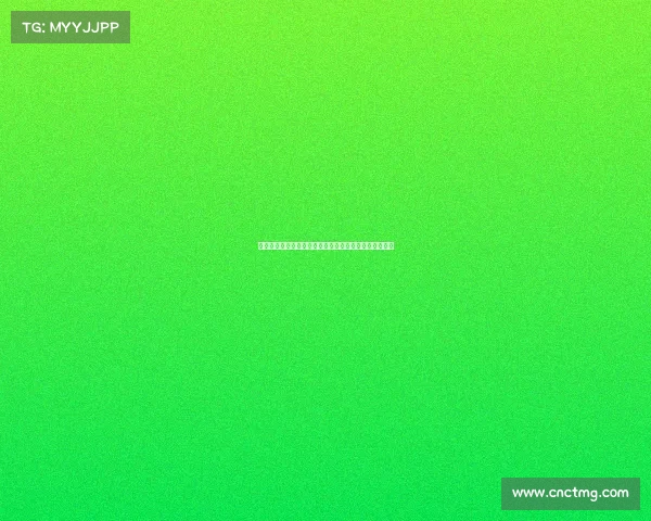 枪手目标中卫雅凯深度分析：新萨利巴还是迷你科纳特？